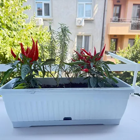 Appartement Nm Prime Location *